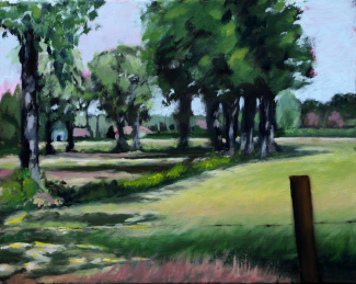 Gerdien-Fokkema_Nuenen-Blekerdijk_acryl-op-doek_40x50