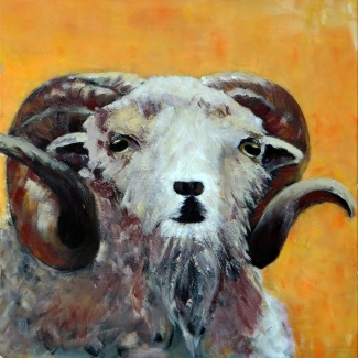 Nell Vrancken_Ram_Acryl_50x50