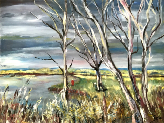 Rina-Bekkers-Olie-op-doek-80x60-cm-Dwingelderveld-scaled